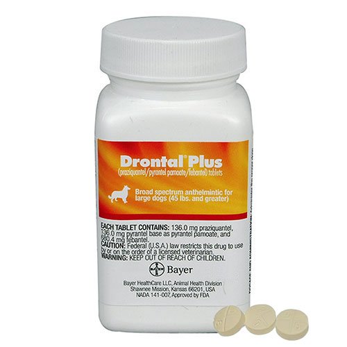 Drontal for Medium Dogs 3.1 - 10 Kg (6.6 to 22lbs)